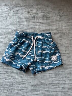 Shore Baby Kids' Blue Wave Swim Trunks